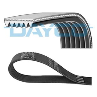Mitmikkiilrihm DAYCO 6PK1285