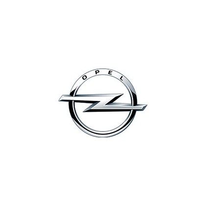 OPEL EGR Valve 55215031