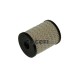 FRAM Kütusefilter C10039ECO