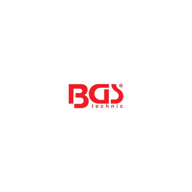 BGS