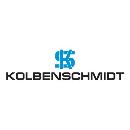 KOLBENSCHMIDT Õhufilter Õhufilter 698-Ap Ks-50013-698