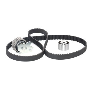 FIAT GROUP Timing Belt Kit 71736795