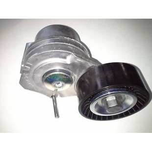 OPEL Belt Tensioner/Pulley 55484503