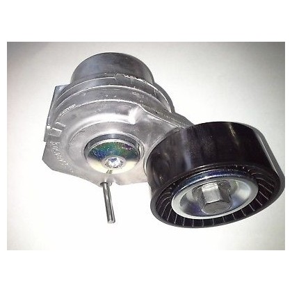 OPEL Belt Tensioner/Pulley 55484503