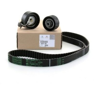 PEUGEOT/CITROEN Timing Belt Kit 0831R9