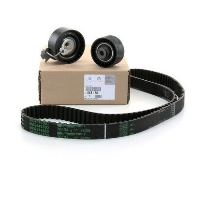 PEUGEOT/CITROEN Timing Belt Kit 0831R9