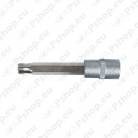Ribe-Torx