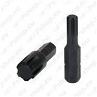 Torx drill bits with 1/4\ hex shank