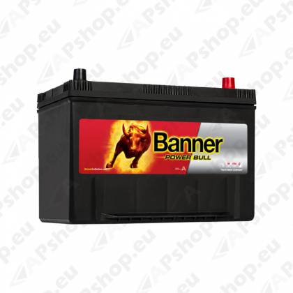 BANNER AKU POWER BULL 95AH 303X173X203/225 - + 740A (CARRIER)