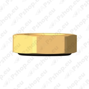 RAUFOSS 6237778 BRK MUTTER TIHENDIGA M18X1.5. HEX24