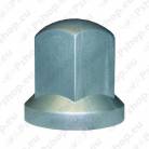 Nut/bolt caps, car/van/SUV