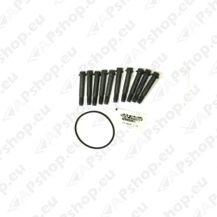 SAF OE 3434366200 PIDURIKETTA KINNITU POLT SAF INTRADISC KOMPL 10TK (M12)