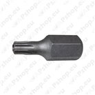 Torx drill bits with 10 mm and 5/16\ hex shank