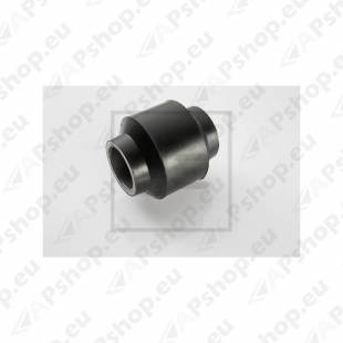 0511396050 BPW PUKS 30X60X68