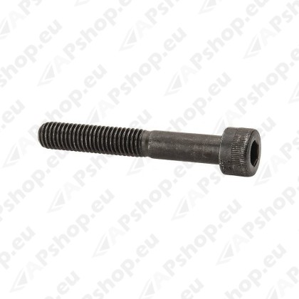 SUMMUTIVITSA POLT VOL M8X1.25X70(55)