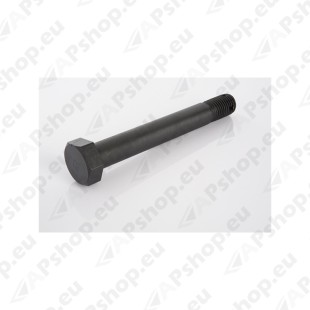 TUGIVEDRU POLT SCA M30X3.5X225 255315