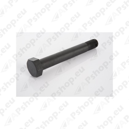 TUGIVEDRU POLT SCA M30X3.5X225 255315