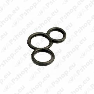 KÜTUSELATI TIHEND SCA R 1390883 ELRING