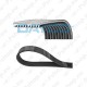 VENTIL. RIHM VOL D12D DAYCO 10PK1108 HD