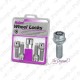 LUKUSTUSP. MCGARD (STANDARD) PK14X1.50/45/17 (PALL. R14. P45. CH17)