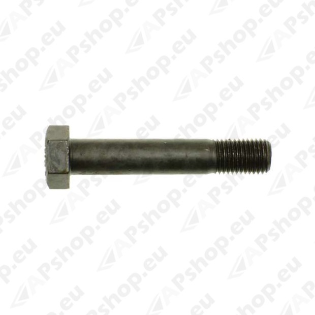 Truck wheel bolts, wheel nuts, accessories