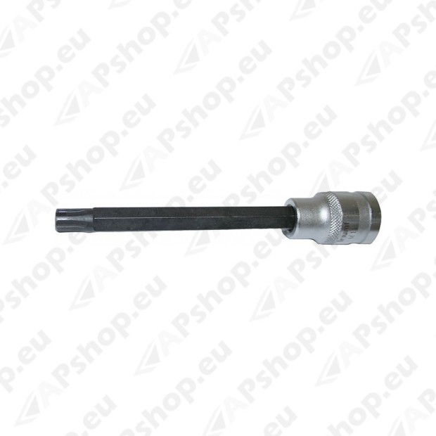 Ribe-Torx