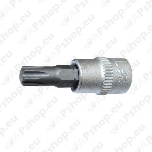 1/4" PADRUNOTSIK TORX T10 TRIUMF
