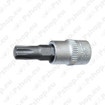 1/4" PADRUNOTSIK TORX T10 TRIUMF