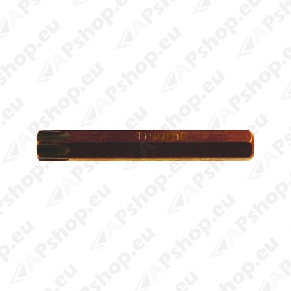 TORXOTSIK T40 PIKK . S2 MAT. (130T) TRIUMF