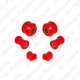 Strongflex Front Suspension Polyurethane Bush Kit 216120B