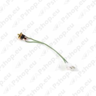 Webasto W1319410A Termokaitse 117C, KVITEERITAV                                                                       