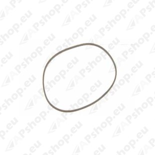 Webasto W1322875A Tihend tihendite komplekt B/DW                                                                      
