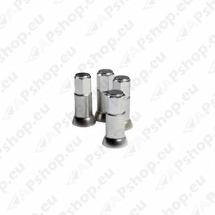 Ventiilikübarate komplekt S103-0250.6