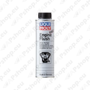 Mootorisisepesulisand 300ml S181-LI2678