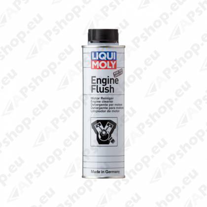 Mootorisisepesulisand 300ml S181-LI2678