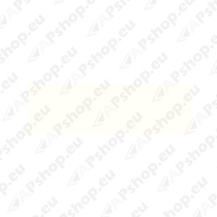 Platinum RAL9010 siidmatt 400ml S151-719837