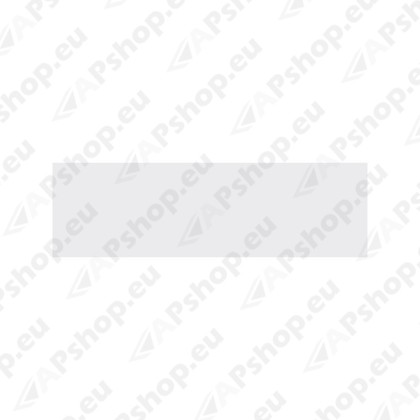 Platinum RAL9006 siidmatt 400ml S151-719844