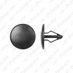 Tüübel 6mm avale S300-1307