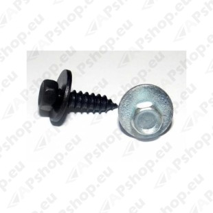 Kruvi seibiga 19x5,5mm S300-1450