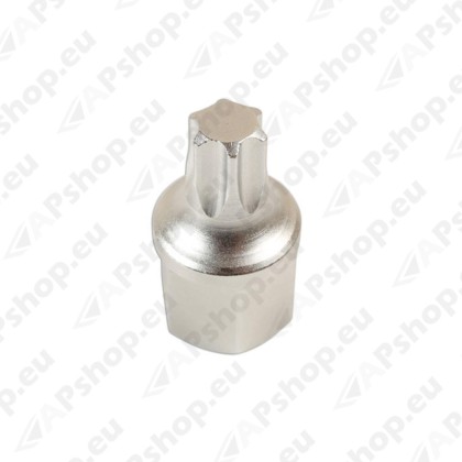Tähtpadrun T60 1/2"  VAG TDI pingutile S183-7234