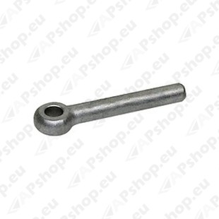 3004273H DHOLLANDIA TAGAL. TAPI FIKSEERIMISE PIN Ø10X70MM BO10.070