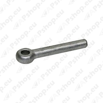 3004273H DHOLLANDIA TAGAL. TAPI FIKSEERIMISE PIN Ø10X70MM BO10.070
