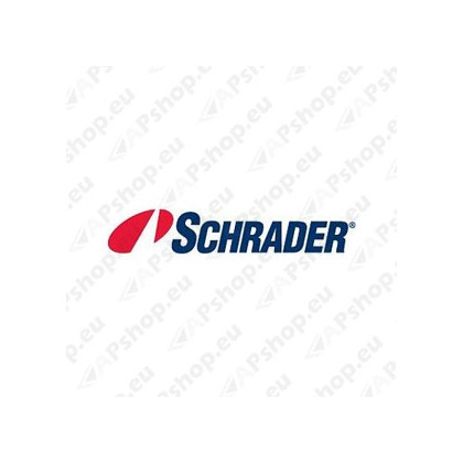 TPMS ANDUR 3189 SCHRADER 434MHZ MET.VENTIILIGA (LÜHIKE) IVECO (8NM)