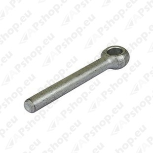 3060035L DHOLLANDIA TAGAL. TAPI FIKSEERIMISE PIN Ø8X70MM BO08.070