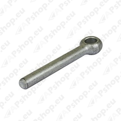 3060035L DHOLLANDIA TAGAL. TAPI FIKSEERIMISE PIN Ø8X70MM BO08.070