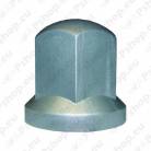 Nut/bolt caps, car/van/SUV