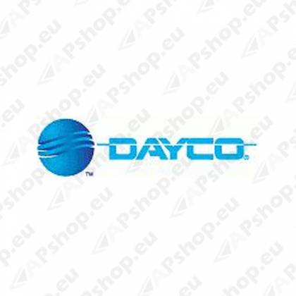 1734901 RIHMARULLIK SCA DAYCO APV2734