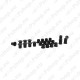 SuperPro TOYOTA-SPRG/BUSH KIT-24 BUSHES KIT0038HK