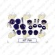SuperPro SUZUKI SWIFT ZC21 MASTER KIT KIT0178K