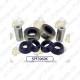 SuperPro FR LWR CTRL ARM RR BUSH KIT SPF3969K